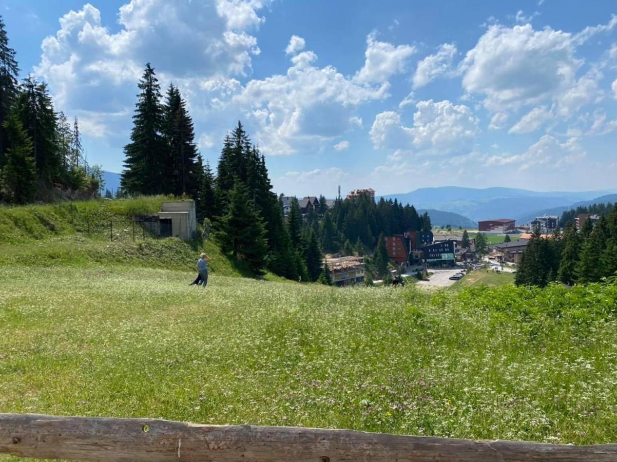 Appartement Monti Vlasic